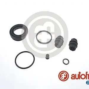 Hit sprzedaży Zestaw naprawczy, zacisk hamulca AUTOFREN SEINSA D41630