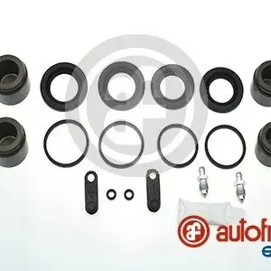 Hit sprzedaży Zestaw naprawczy, zacisk hamulca AUTOFREN SEINSA D42585C