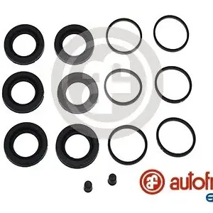 Cena promocyjna Zestaw naprawczy, zacisk hamulca AUTOFREN SEINSA D42935