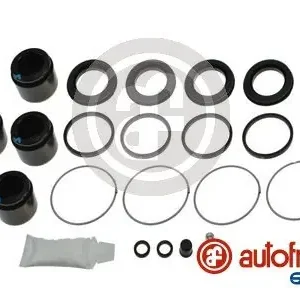 Oferta limitowana Zestaw naprawczy, zacisk hamulca AUTOFREN SEINSA D43017C