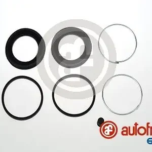 Nowość Zestaw naprawczy, zacisk hamulca AUTOFREN SEINSA D4391