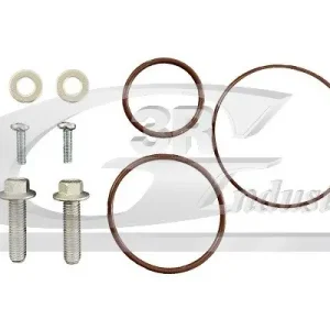 Zestaw naprawczy, pompa podciśnieniowa (układ hamulcowy) 3RG 74205 Szybka wysyłka