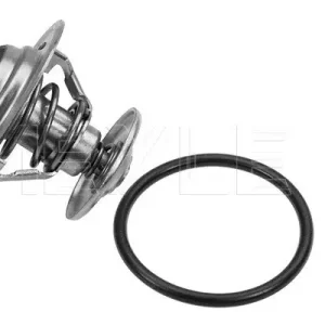 Szybka wysyłka TERMOSTAT VW 75C A80/100/GOLF/