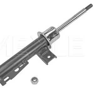 Zamów teraz AMORTYZATOR SMART P. FORTWO 1,0/0,8CDI 07-